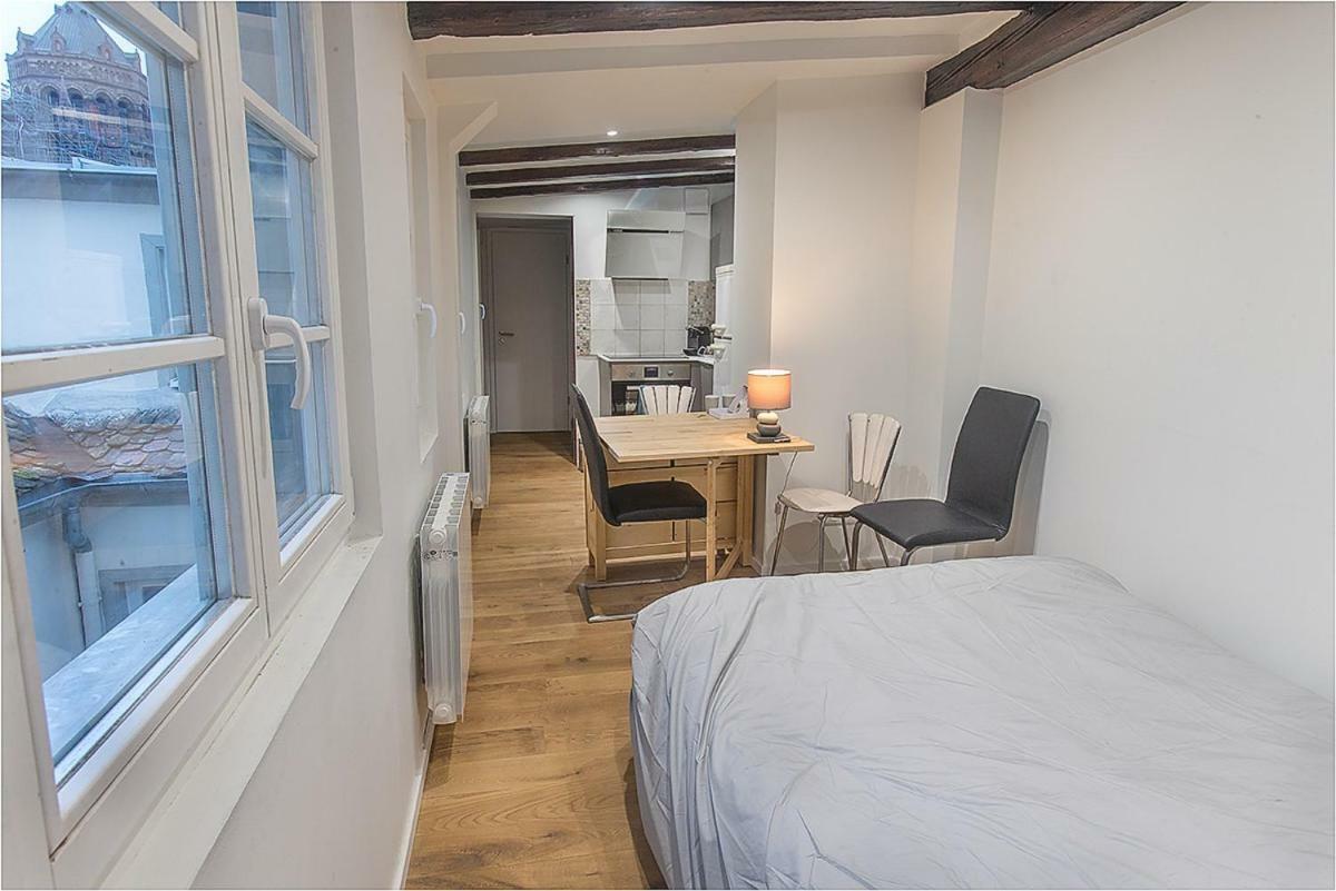 Apartament L'Oeil Sur La Fleche Strasburg Zewnętrze zdjęcie