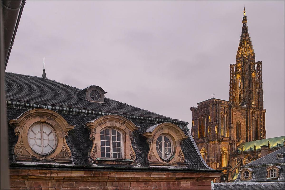 Apartament L'Oeil Sur La Fleche Strasburg Zewnętrze zdjęcie